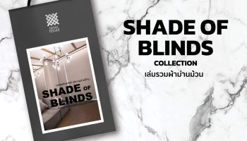 SHADE OF BLINDS Collection