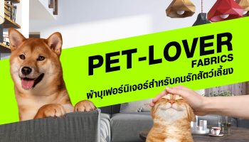 PET-LOVER FABRICS ผ้าบุเฟอร์นิเจอร์สำหรับคนรักสัตว์เลี้ยง