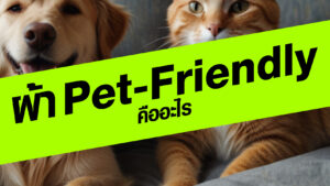 ผ้า Pet-Friendly คืออะไร