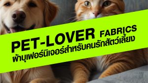 PET-LOVER FABRICS ผ้าบุเฟอร์นิเจอร์สำหรับคนรักสัตว์เลี้ยง