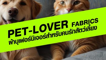 PET-LOVER FABRICS ผ้าบุเฟอร์นิเจอร์สำหรับคนรักสัตว์เลี้ยง