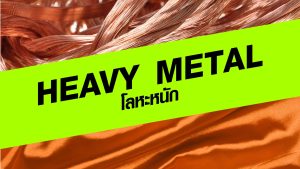 HEAVY METAL ที่ไม่ใช่วงร็อก แต่คือสารโลหะหนักที่มีผลเสียต่อสุขภาพ