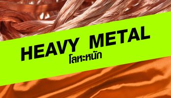 HEAVY METAL ที่ไม่ใช่วงร็อก แต่คือสารโลหะหนักที่มีผลเสียต่อสุขภาพ